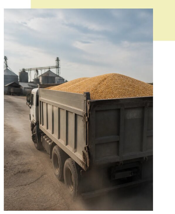 Перевозка сельхозпродукции навалом в Киселёвск по цене от 3084 р. | Агросервис-Кис